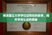 横滨国立大学学位证之谜，探寻学历认证的深度解读