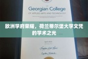 荷兰蒂尔堡大学荣耀，解锁欧洲学府的学术璀璨之路
