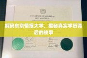 揭开东京情报大学神秘面纱，学历真相与传奇背后的故事