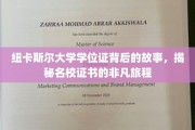 纽卡斯尔大学学位证，探寻名校证书背后的传奇之路