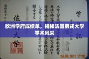 探寻法兰西瑰宝，第戎大学学术实力大揭秘